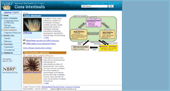 Desktop Screenshot of marinebio.nbrp.jp